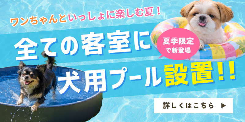 プール